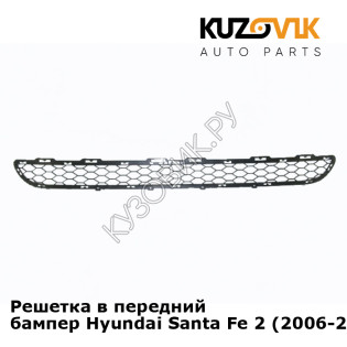 Решетка в передний бампер Hyundai Santa Fe 2 (2006-2011) KUZOVIK