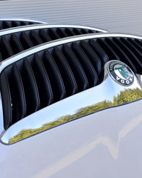 Решетки радиатора